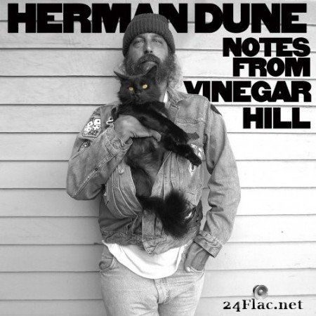 Herman Düne - Notes from Vinegar Hill (2020) Hi-Res