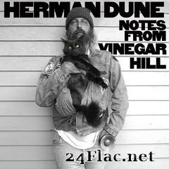Herman Düne - Notes from Vinegar Hill (2020) FLAC