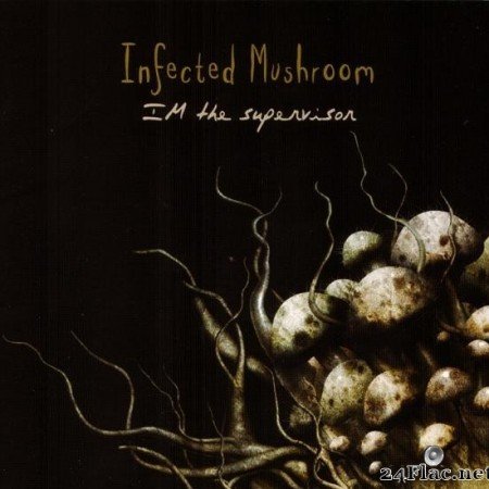 Infected Mushroom - IM The Supervisor (2004) [FLAC (tracks + .cue)]