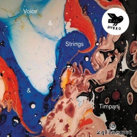 Strings & Timpani - Voice & Strings & Timpani (2020) Hi-Res