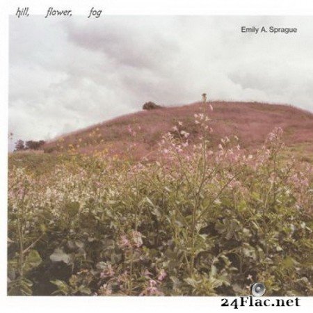 Emily A. Sprague - Hill, Flower, Fog (2020) FLAC