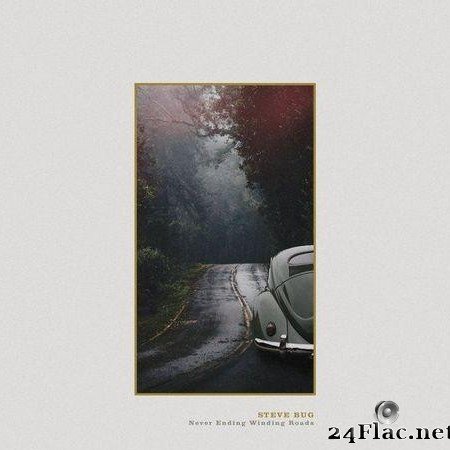Steve Bug - Never Ending Winding Roads (2020) [FLAC (tracks)]