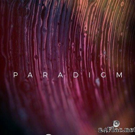 VA - Steyoyoke Paradigm, Vol. 08 (2020) [FLAC (tracks)]
