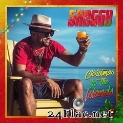 Shaggy - Christmas in the Islands (2020) FLAC