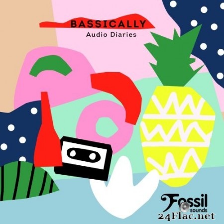 Bassically - Audio Diaries (2020) Hi-Res