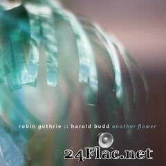Robin Guthrie & Harold Budd - Another Flower (2020) FLAC