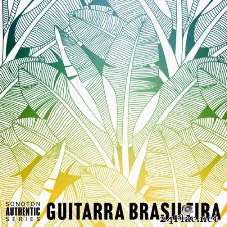Pedro Tagliani - Guitarra Brasileira (2020) Hi-Res