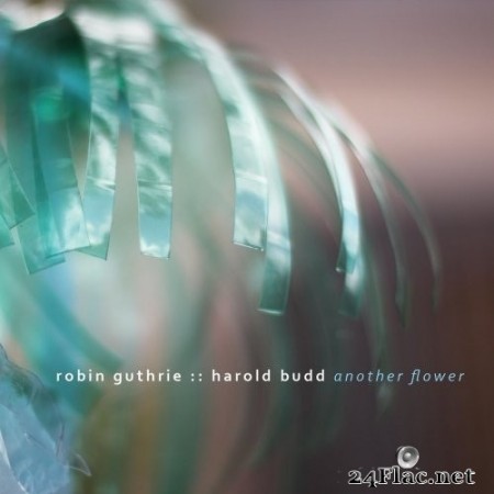 Robin Guthrie & Harold Budd - Another Flower (2020) Hi-Res