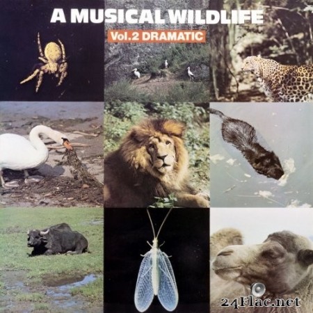 John Fox, Sam Sklair - A Musical Wildlife, Vol. 2: Dramatic (1980/2020) Hi-Res