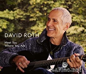 David Roth - Meet You Where You Are (2020) [FLAC (tracks)]