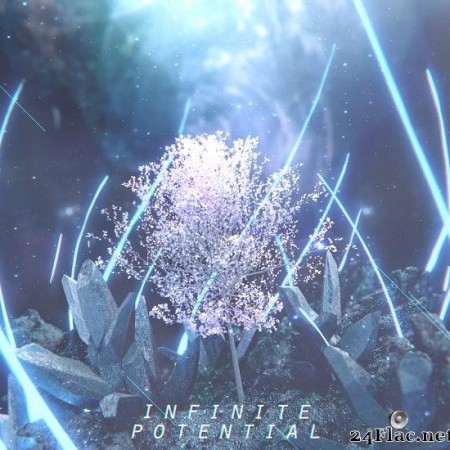VA -  Infinite Potential (2016) [FLAC (tracks)]