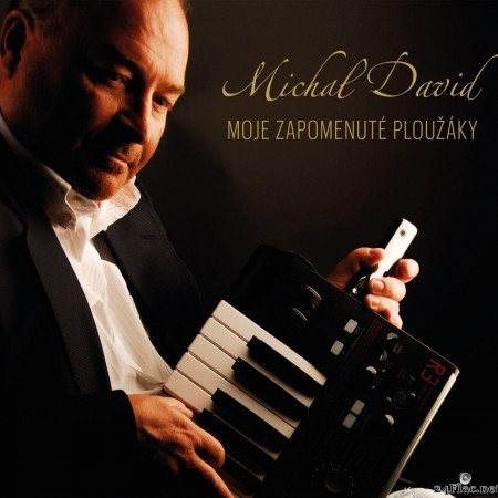 Michal David - Moje zapomenute plouzaky (2020) [FLAC (tracks)]