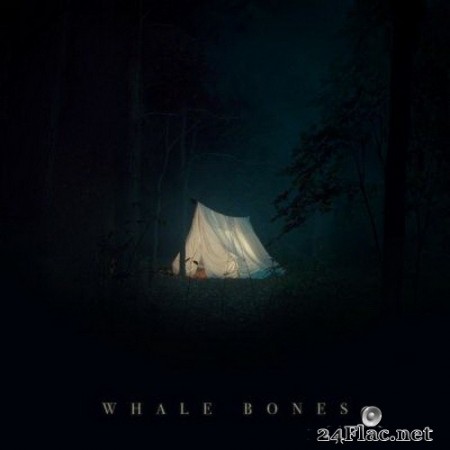 Whale Bones - The Doors Are Locked, the Blinds Are Closed, I Am Not Home (2020) FLAC