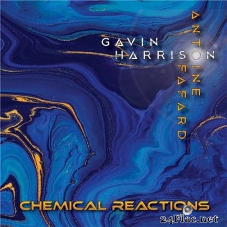 Antoine Fafard & Gavin Harrison - Chemical Reactions (2020) FLAC