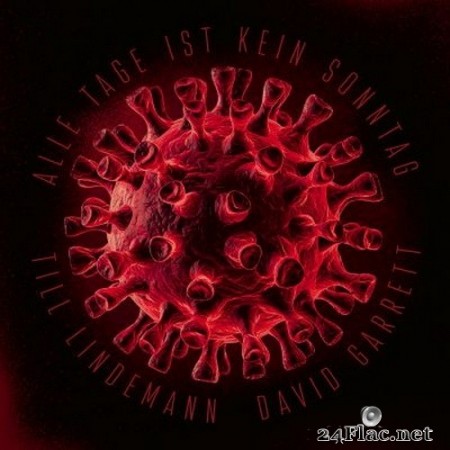 Till Lindemann & David Garrett - Alle Tage ist kein Sonntag (Single) (2020) Hi-Res