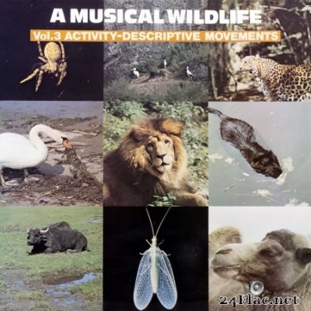 Sam Sklair - A Musical Wildlife, Vol. 3: Activity-Descriptive Movements (2020) Hi-Res