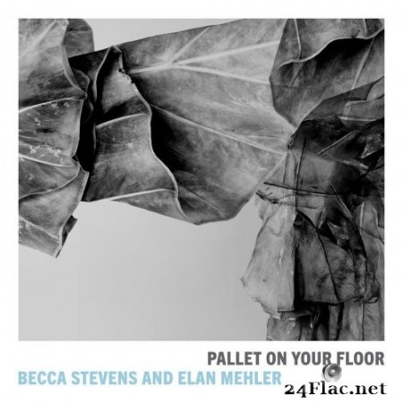 Becca Stevens & Elan Mehler - Pallet on Your Floor (2020) Hi-Res + FLAC