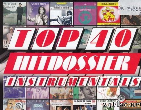 VA - Top 40 Hitdossier Instrumentals (2020) [FLAC (tracks + .cue)]