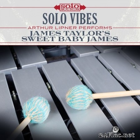 Arthur Lipner - James Taylor's Sweet Baby James: Solo Vibes (2017) Hi-Res