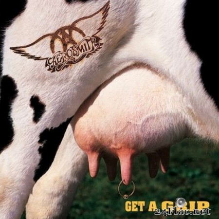 Aerosmith - Get A Grip (1993/2014) Hi-Res