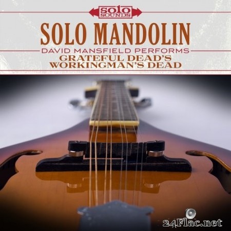 David Mansfield - Grateful Dead's Workingman's Dead: Solo Mandolin (2017) Hi-Res