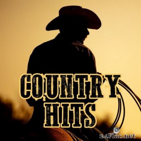 Various Artists - Country Hits (2020) FLAC