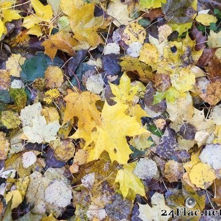 Muffler - Yellow Leaves (2020) [FLAC (tracks)]
