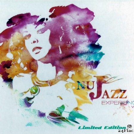VA - Nu Jazz Experience Vol.1 (2011) [FLAC (tracks + .cue)]