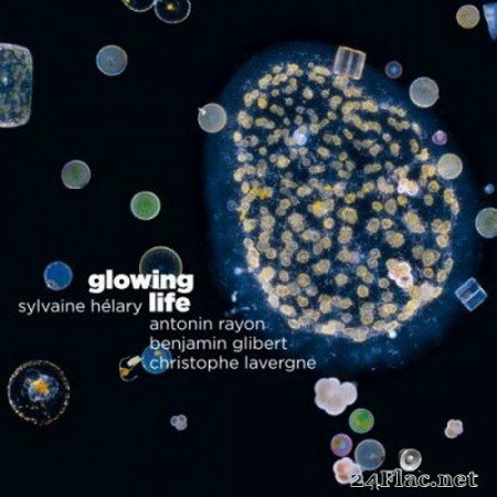 Sylvaine Hélary - Glowing Life (2020) FLAC