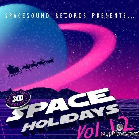 VA - Space Holidays Vol. 12 (2020) [FLAC (tracks)]