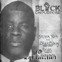 Salaam Remi - Black On Purpose (2020) FLAC