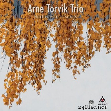 Arne Torvik Trio - Northwestern Songs (2021) Hi-Res