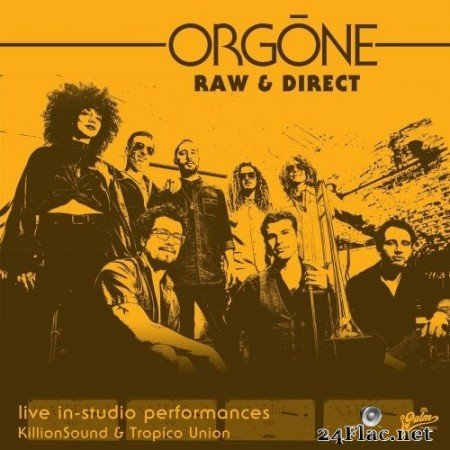 Orgone - Raw & Direct (2021) Hi-Res + FLAC