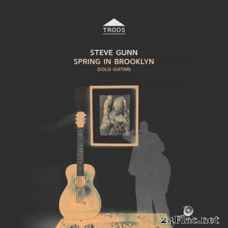 Steve Gunn - Spring in Brooklyn (2021) Hi-Res