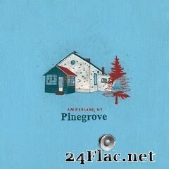 Pinegrove - Amperland, NY (2021) FLAC