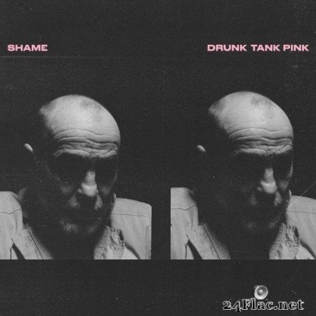 Shame - Drunk Tank Pink (2021) Hi-Res
