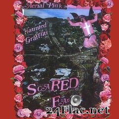 Ariel Pink’s Haunted Graffiti - Scared Famous/FF&gt;&gt; (Remastered) (2021) FLAC