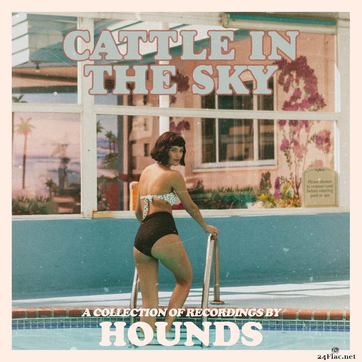 Hounds - Cattle In The Sky (2021) FLAC