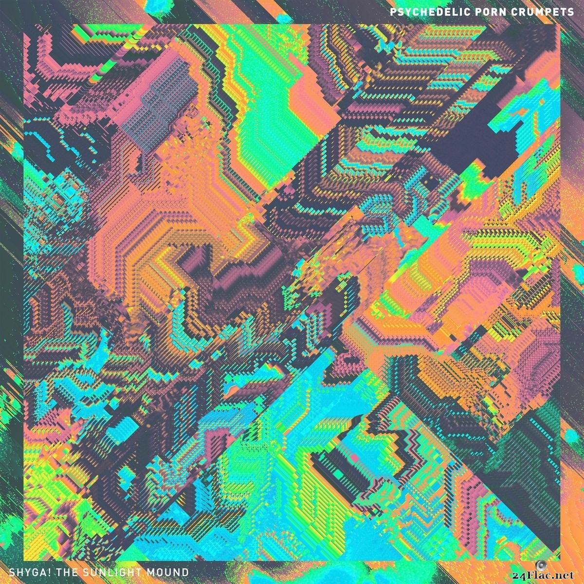 Psychedelic Porn Crumpets - SHYGA! The Sunlight Mound (2021) FLAC