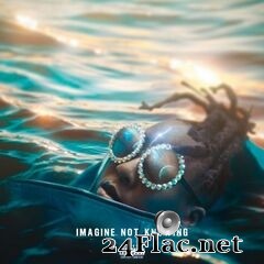 INK - Imagine Not Knowing (2021) FLAC