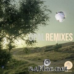 Snavs - Opal (Remixes) (2021) FLAC