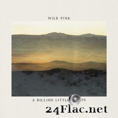 Wild Pink - A Billion Little Lights (2021) FLAC