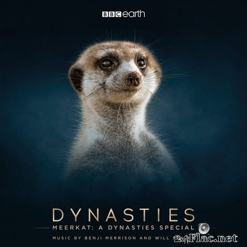 Benji Merrison - Meerkat: a Dynasties Special (Original Television Soundtrack) (2021) Hi-Res