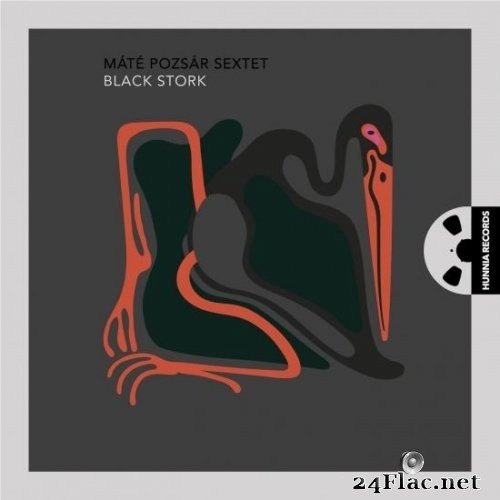 Mate Pozsar Sextet - Black Stork (2021) Hi-Res