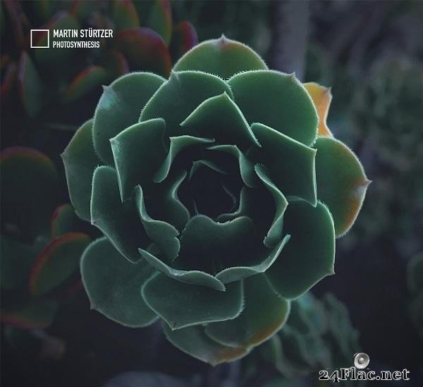 Martin Sturtzer - Photosynthesis (2021) [FLAC (tracks)]