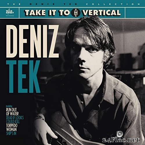 Deniz Tek - Take It to the Vertical (2021) Hi-Res