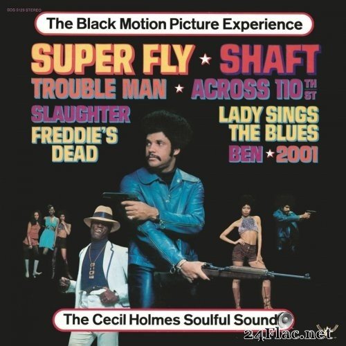 The Cecil Holmes Soulful Sounds - The Black Motion Picture Experience (1973) Hi-Res