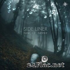 Side Liner - Now or Never (2021) FLAC