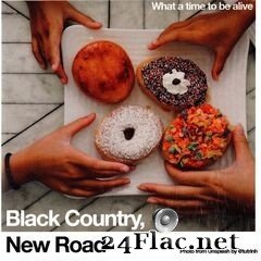 Black Country, New Road - What A Time To Be Alive (2021) FLAC