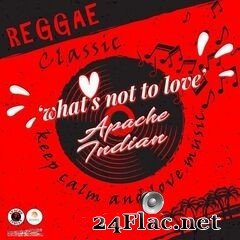 Apache Indian - What’s Not To Love (2020) FLAC